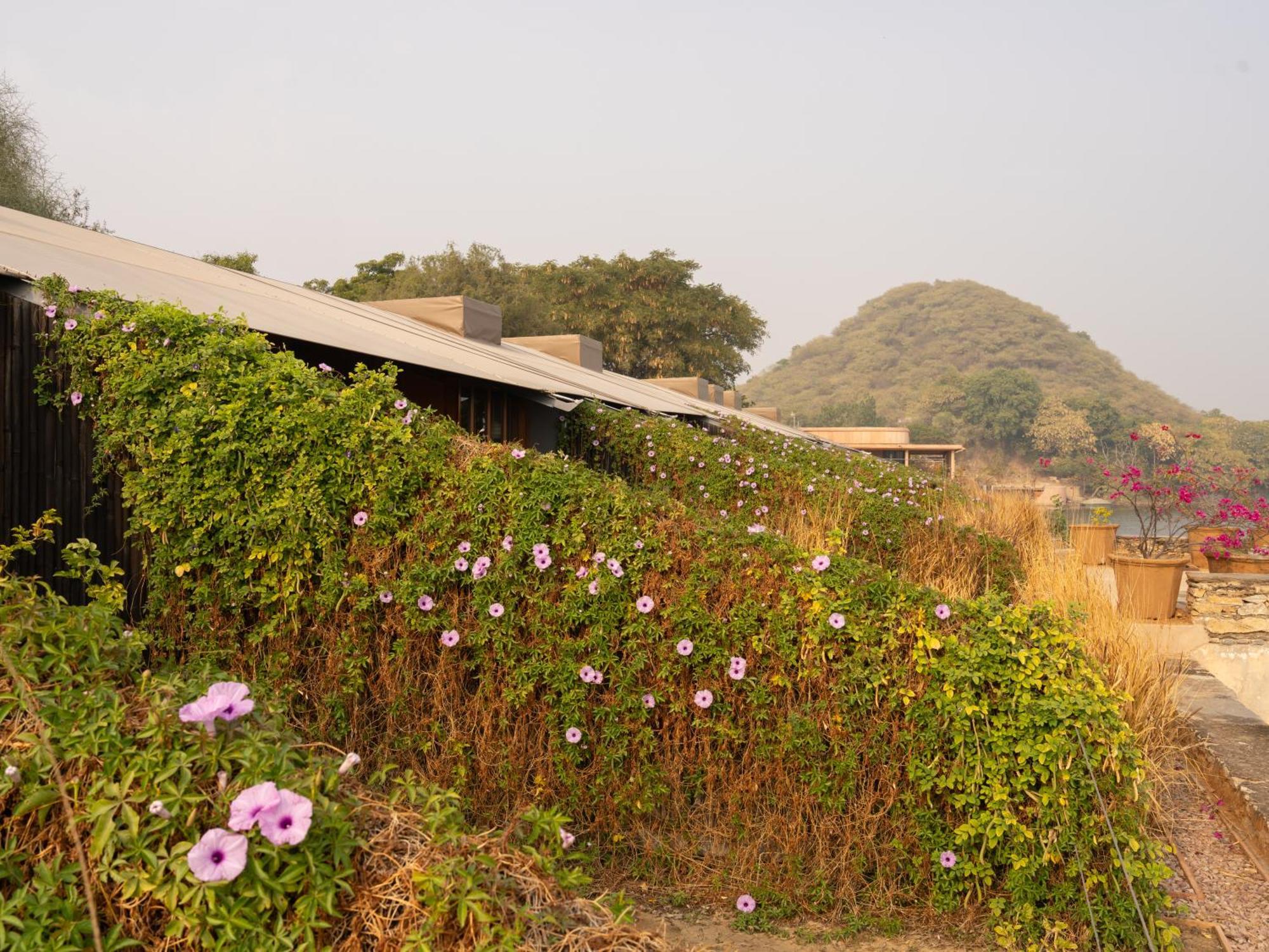 Raas Chhatrasagar, Nimaj, District Pali Buitenkant foto